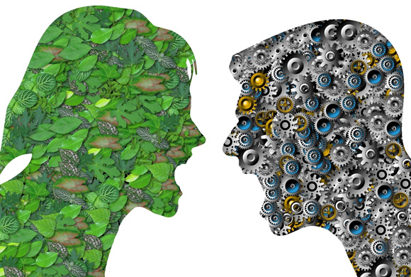 Conflitos Socioambientais