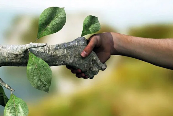 Licenciamento Ambiental