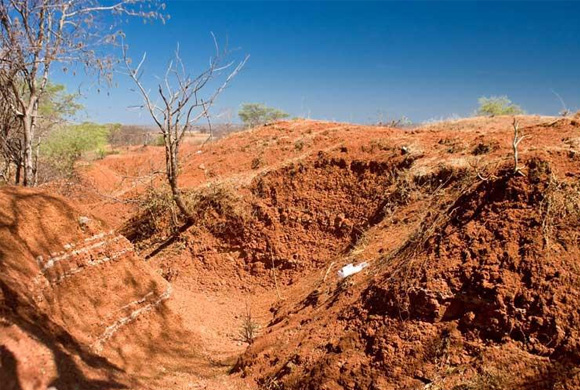 Recuperação de Áreas Contaminadas e Degradadas (solo)