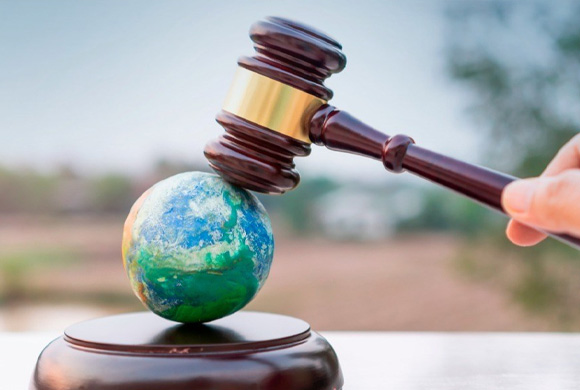 Tratados e Manuais do Direito Ambiental